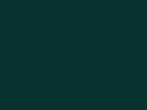 Blackout satin TCS - 350 g/m² dark green 140cm