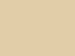 Blackout satin TCS - 350 g/m² natural 140cm